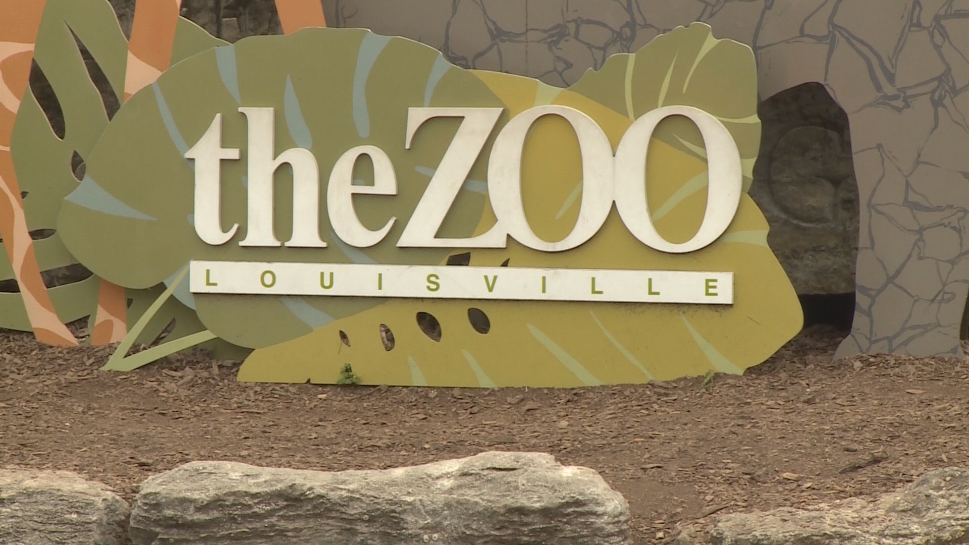 Louisville Zoo is Pokémon Go hotspot
